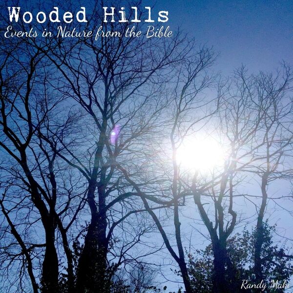 Cover art for Wooded Hills